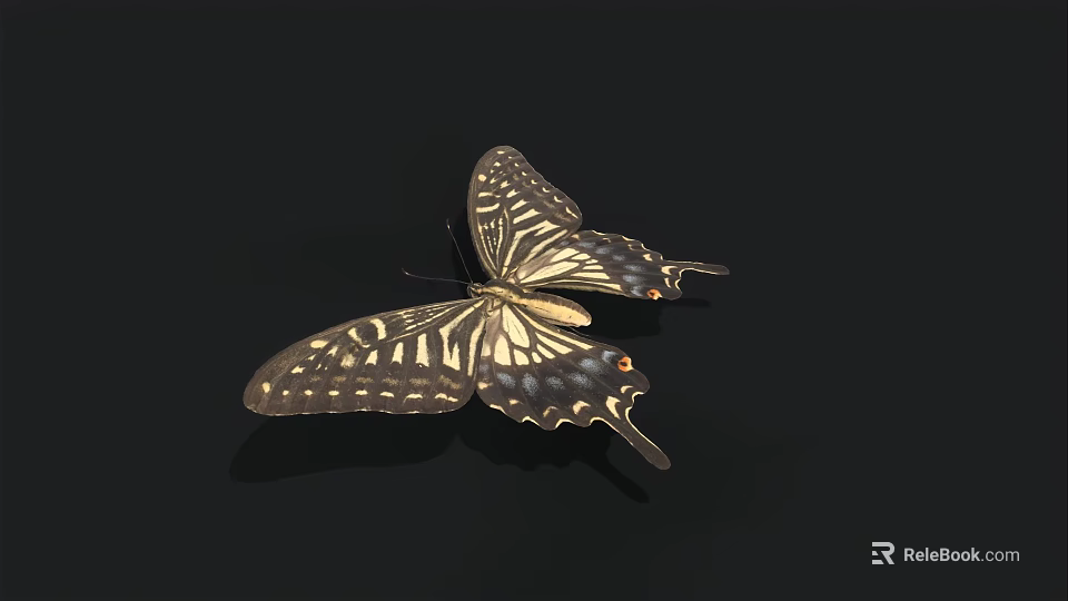 Exotic Butterfly With Brown And Yellow Patterned Wings On Black Background 3d model 