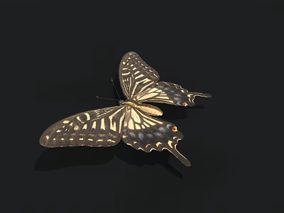 Exotic Butterfly With Brown And Yellow Patterned Wings On Black Background 3d model