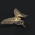 Exotic Butterfly With Brown And Yellow Patterned Wings On Black Background 3d model