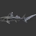 Realistic Striped Prehistoric Fish Models With Sharp Teeth And Open Mouths 3d model