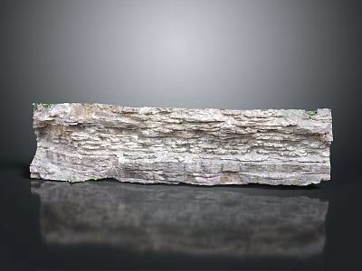 Wood Stone With Layered Structure Green Moss And Reflection On Black Smooth Surface 3d model