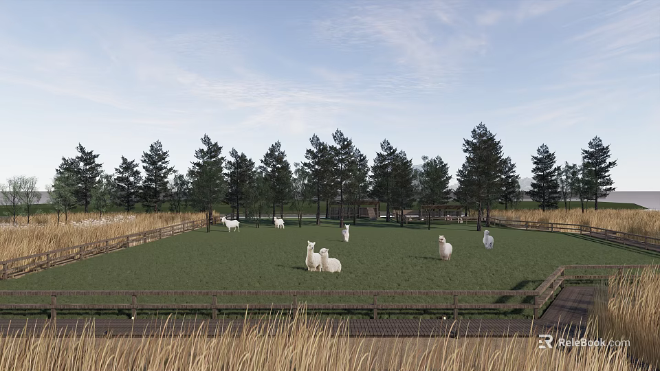 White Alpacas On Green Grass Field With Wooden Fence Pine Trees And Blue Sky 3d model 