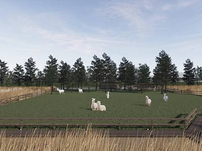 White Alpacas On Green Grass Field With Wooden Fence Pine Trees And Blue Sky 3d model