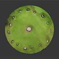 Circular Stone Circle Structure With Central Large Stone And Surrounding Small Stones On Green Lawn