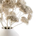 Elegant White Vase with Geometric Pattern Holding Beige Pompom Dried Flowers