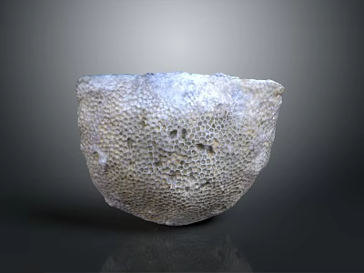 Artisanal Wood Stone Bowl With Intricate Honeycomb Texture And Natural Shape 3d model