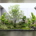 Lush Indoor Landscape With Tall Tree Large Leaf Plants Moss Stones And Skylight
