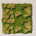 Square Decorative Green Moss Panel With Yellow Flower Clusters 3d model