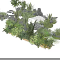 Natural Microlandscape Design with Various Green Plants Rocks Small Pathway and Lush Moss