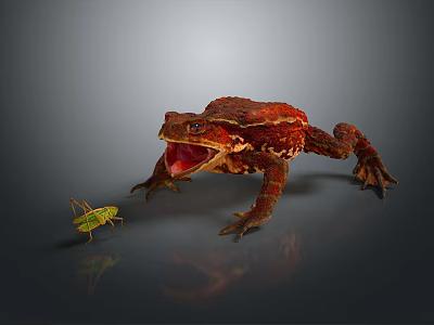 Reptile Red Toad With Open Mouth Approaching Green Grasshopper On Gray Background 3d model