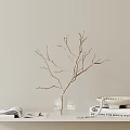 Decorative Ornament Set with Clear Glass Vase Twig Branches White Bowl and Books on Shelf