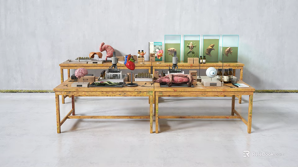 Industrial Equipment In Laboratory Workspace With Anatomical Models And Scientific Tools 3d model 