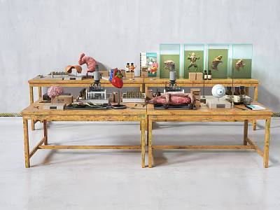 Industrial Equipment In Laboratory Workspace With Anatomical Models And Scientific Tools 3d model