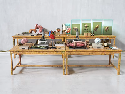 Industrial Equipment In Laboratory Workspace With Anatomical Models And Scientific Tools 3d model