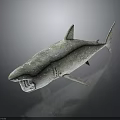 Shark Sculpture With Open Mouth Fin Details And Textured Surface On Dark Background