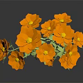 Vibrant Orange Flowers With Green Stems And Leaves Against Black Background And Reflection