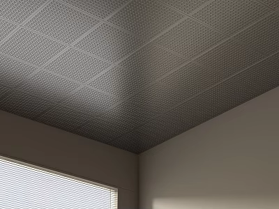 Grid Pattern Ceiling In Modern Interior With Blinds And Walls 3d model