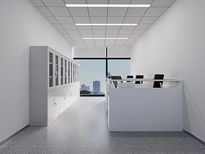 Modern Public Office Space Interior Design With Desks Chairs Storage Cabinets And Large Windows 3d model