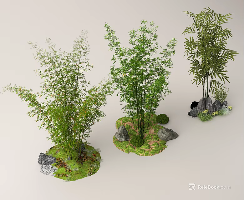 Bamboo Plants With Rocks And Moss Arrangement 3d model 