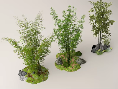 Bamboo Plants With Rocks And Moss Arrangement 3d model