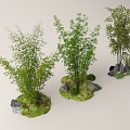 Bamboo Bamboo Forest Landscape Bamboo Plant Pile Landscape Stone 3d model