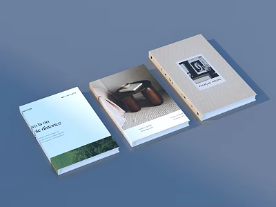 Magazines Displaying Varied Cover Designs Featuring Green Grass Brown Objects And Black White 3d model