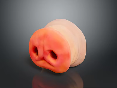 Pig Nose Pig Nose Pig Nose Carton Pig Nose Game Pig Nose 3d model