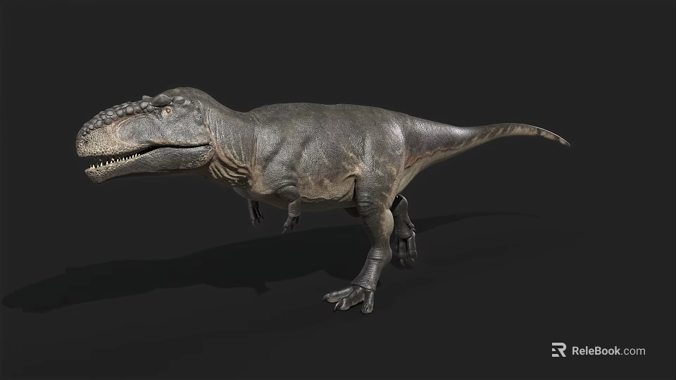 3D Model Tyrannosaurus Rex Reptile With Gray Skin Open Mouth Standing Pose And Black Background 3d model 