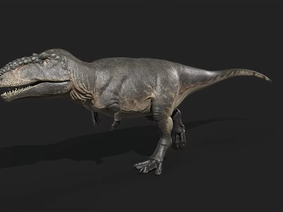 3D Model Tyrannosaurus Rex Reptile With Gray Skin Open Mouth Standing Pose And Black Background 3d model