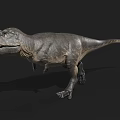 3D Model Tyrannosaurus Rex Reptile With Gray Skin Open Mouth Standing Pose And Black Background