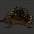 Modern Hedgehog Cartoon Hedgehog Animation Hedgehog 3d model