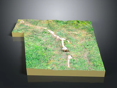 Grassland Scene Model With Lush Green Grass And White Path Details 3d model