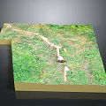 Grassland Scene Model With Lush Green Grass And White Path Details