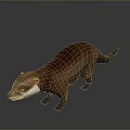 Detailed Realistic Brown Otter With White Chest Standing on Gray Background