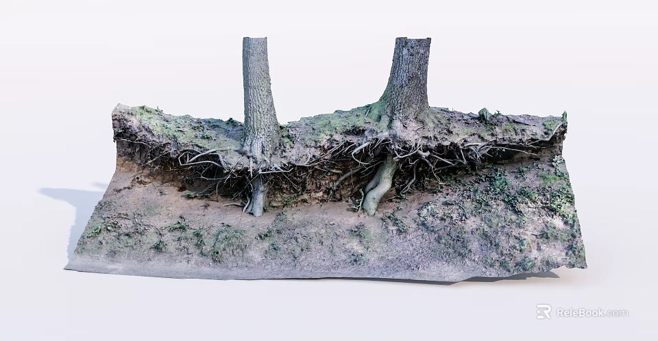 Natural Stone and Wood Scene with Exposed Tree Roots Soil and Green Moss 3d model 