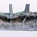Natural Stone and Wood Scene with Exposed Tree Roots Soil and Green Moss