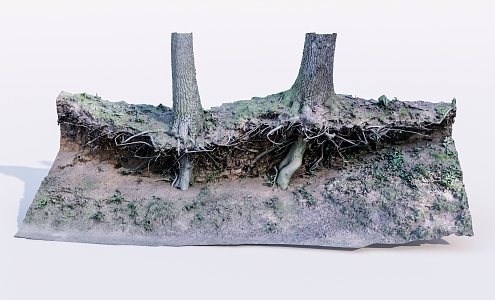 modern dead wood dead tree root 3d model