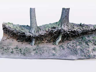 modern dead wood dead tree root 3d model