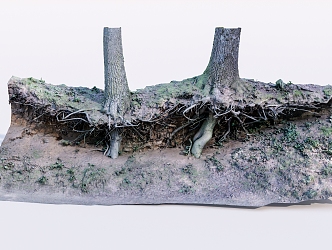 modern dead wood dead tree root 3d model