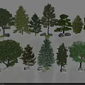 Different Types of Arbor Trees 3D Models with Stones and Grass Around