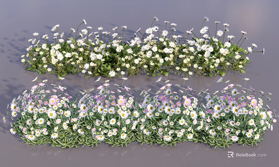 Vibrant Mixed Garden Flowers With White Pink Purple Blooms And Green Foliage 3d model 