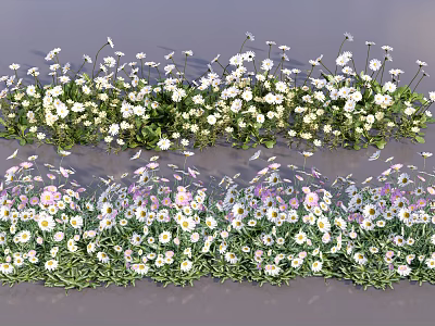 Vibrant Mixed Garden Flowers With White Pink Purple Blooms And Green Foliage 3d model