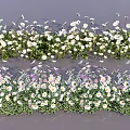 Vibrant Mixed Garden Flowers With White Pink Purple Blooms And Green Foliage