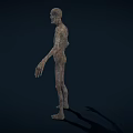 Creepy Gaunt Humanoid Game and Movie Character with Shriveled Skin and Grayish Tone 3d model