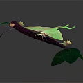 Green Moth Perched On Dark Colored Branch With White Flowers And Green Leaves