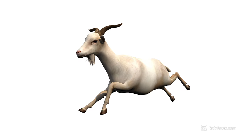 White Reptile Running Fast With Extended Legs On White Background 3d model 