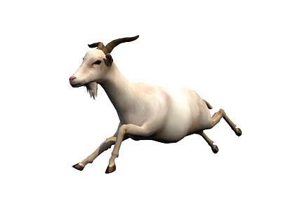 White Reptile Running Fast With Extended Legs On White Background 3d model