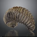 Detailed Spiral Organ Model With Orange Purple Color And Hair Like Textured Surface