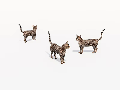 Three Spotted Tabby Cats Standing In Different Poses On White Background 3d model