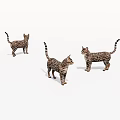 Three Spotted Tabby Cats Standing In Different Poses On White Background
